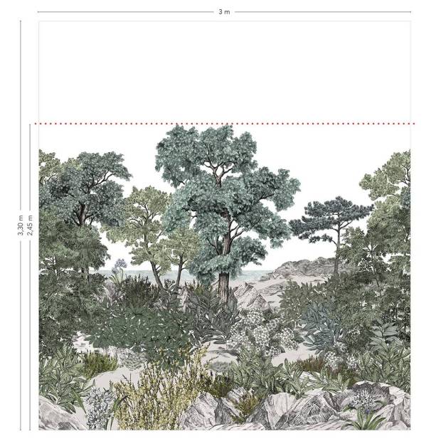 Panoramique Forêt de Bretagne