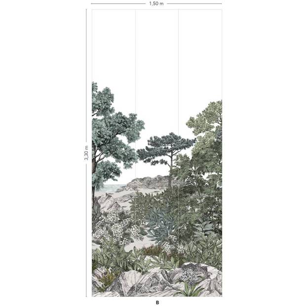 Panoramique Forêt de Bretagne