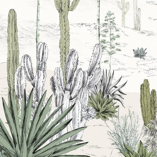 Papier peint panoramique Succulentes