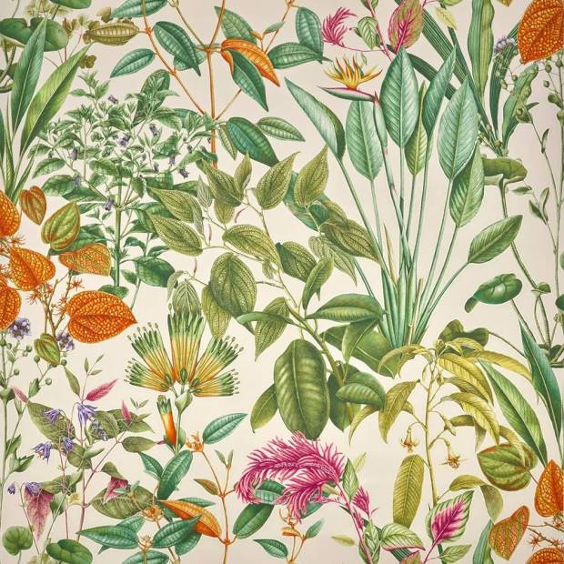 Papier Peint Fantaisie Tropicale