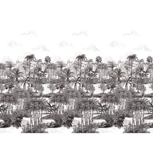 Papier peint Panoramique sur mesure Amazone