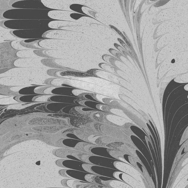 Papier peint Marbré de Venise