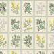 Papier peint Herbier