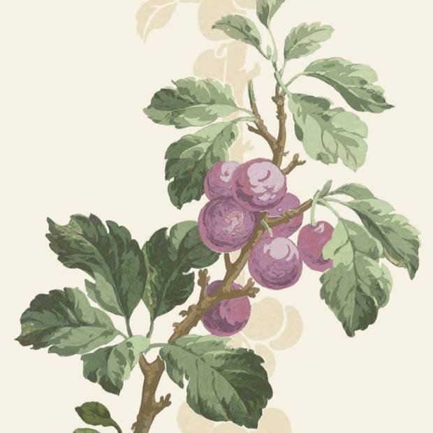 Papier peint Prunus
