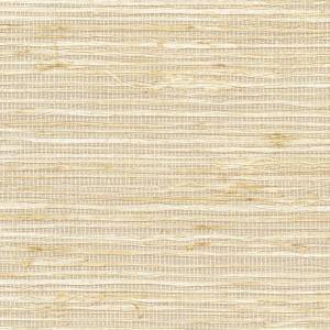 Papier Peint Arrowroot