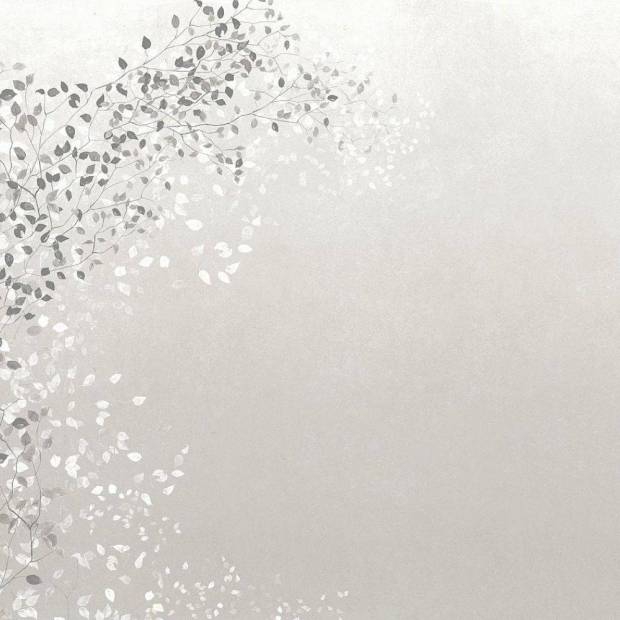 Papier Peint Panoramique Climber