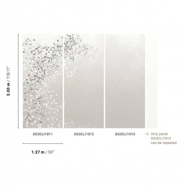 Papier Peint Panoramique Climber