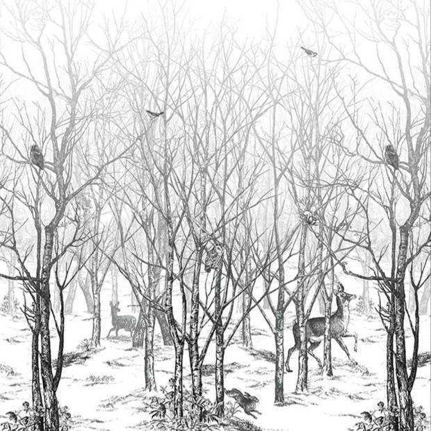 Papier peint Panoramique sur mesure Forêt Enchantée
