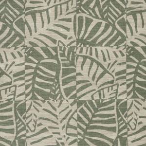 Tissu Philo