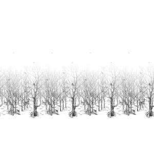 Papier peint Panoramique sur mesure Forêt Enchantée