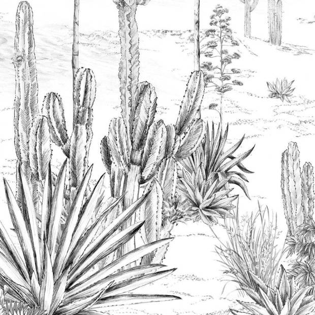 Papier peint panoramique Succulentes