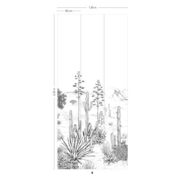 Papier peint panoramique Succulentes