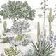 Papier peint panoramique Succulentes