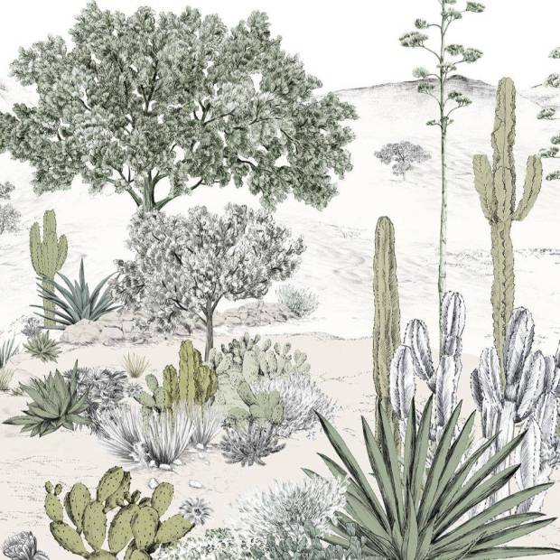 Papier peint panoramique sur mesure Succulentes