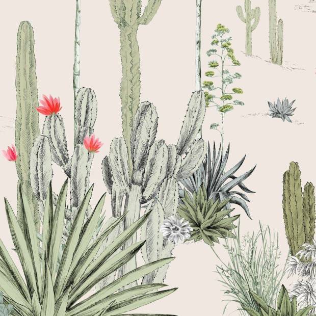 Papier peint panoramique sur mesure Succulentes