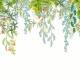 Papier peint panoramique Fairy Canopy