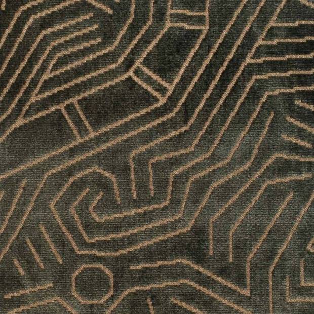 Tissu Darwinista