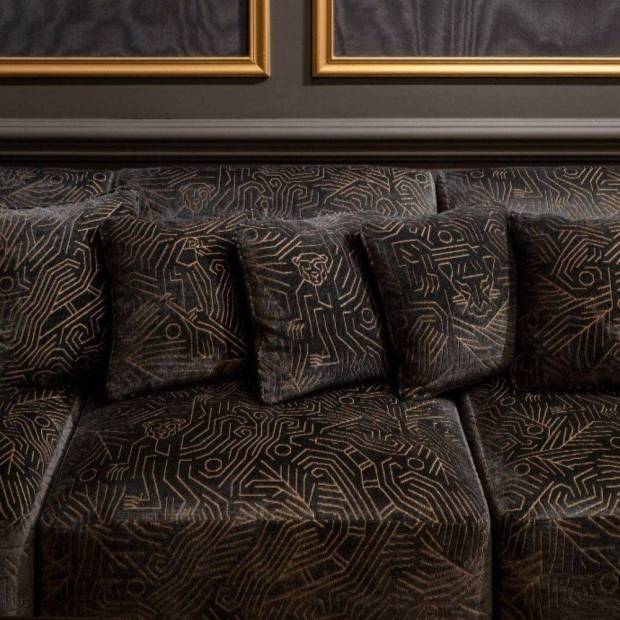 Tissu Darwinista