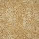 Tissu Wild Complexions