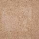 Tissu Wild Complexions