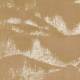 Tissu Bain De Venus