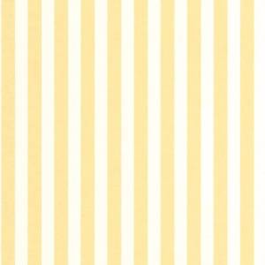 Papier Peint Bold Line
