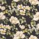 Papier Peint Sous Les Rosiers