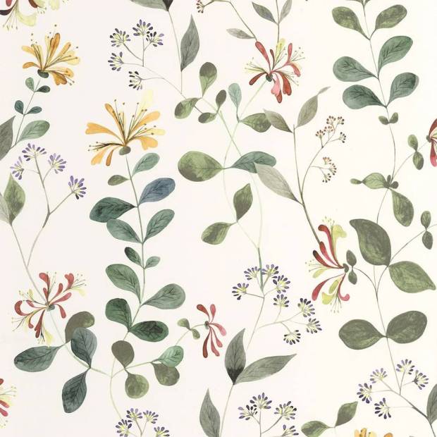 Papier Peint Chevrefeuille Sauvage