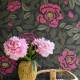 Papier Peint My Peony Garden