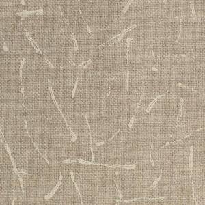 Tissu Mappamundi