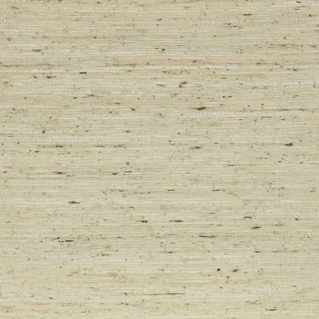 Papier Peint Arrowroot