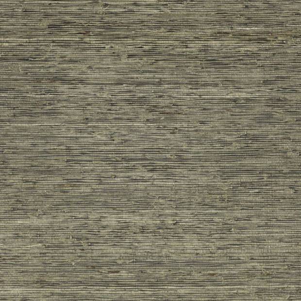 Papier Peint Arrowroot