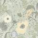 Papier peint Anemone