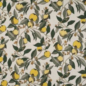 Tissu Orange Grove