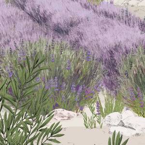 Papier Peint Panoramique Provence Couleur
