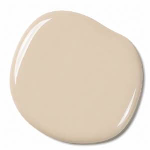 Peinture Daim Fonce