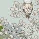 Papier Peint Panoramique Sur Mesure Coucou Hibou