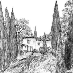 Papier Peint Panoramique Sur Mesure Provence Grisaille