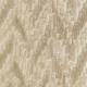 Tissu Fossile