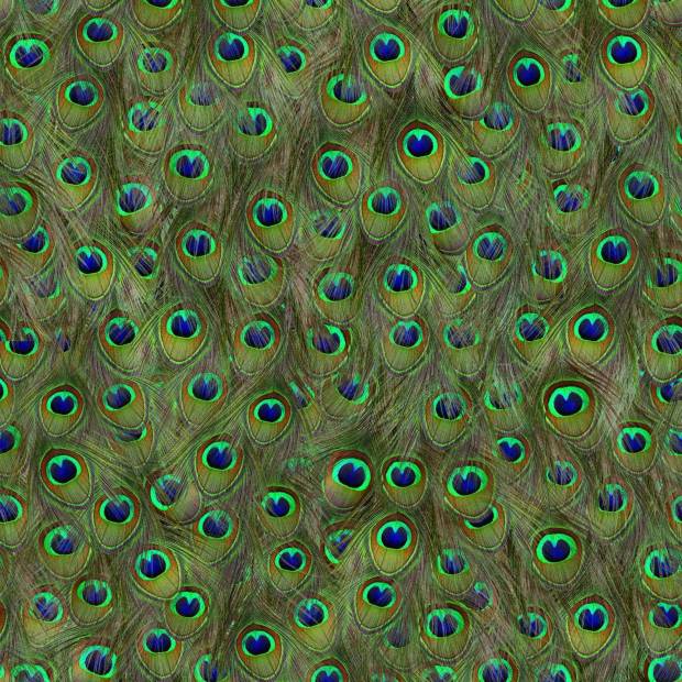 Papier peint Peafowl intissé
