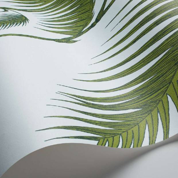 Papier peint Palm Leaves