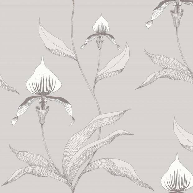 Papier peint Orchid