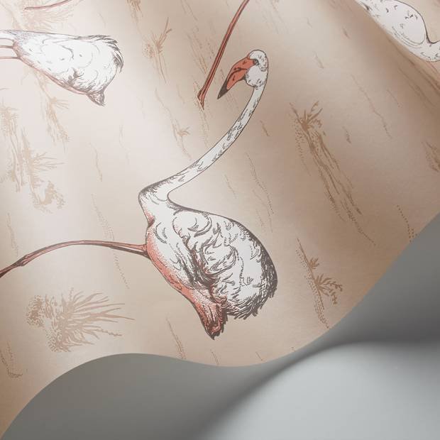 Papier Peint Flamingos