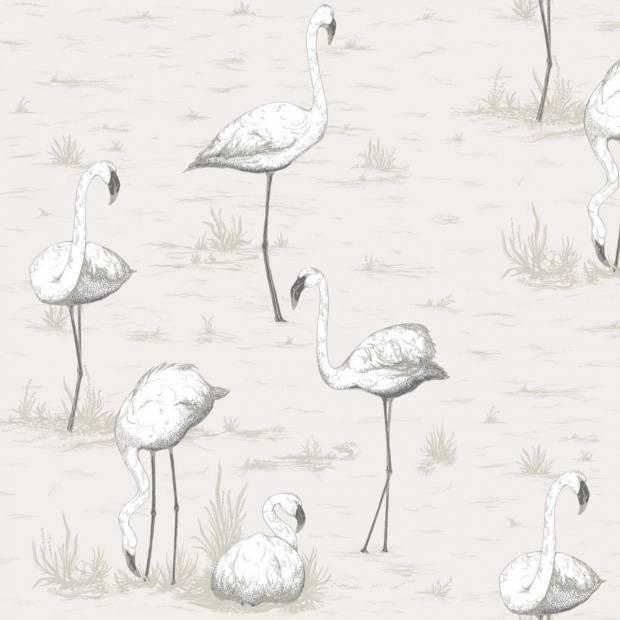 Papier peint Flamingos