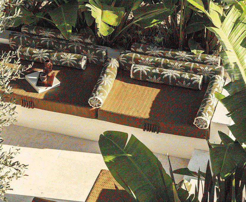 Collection Venice Beach