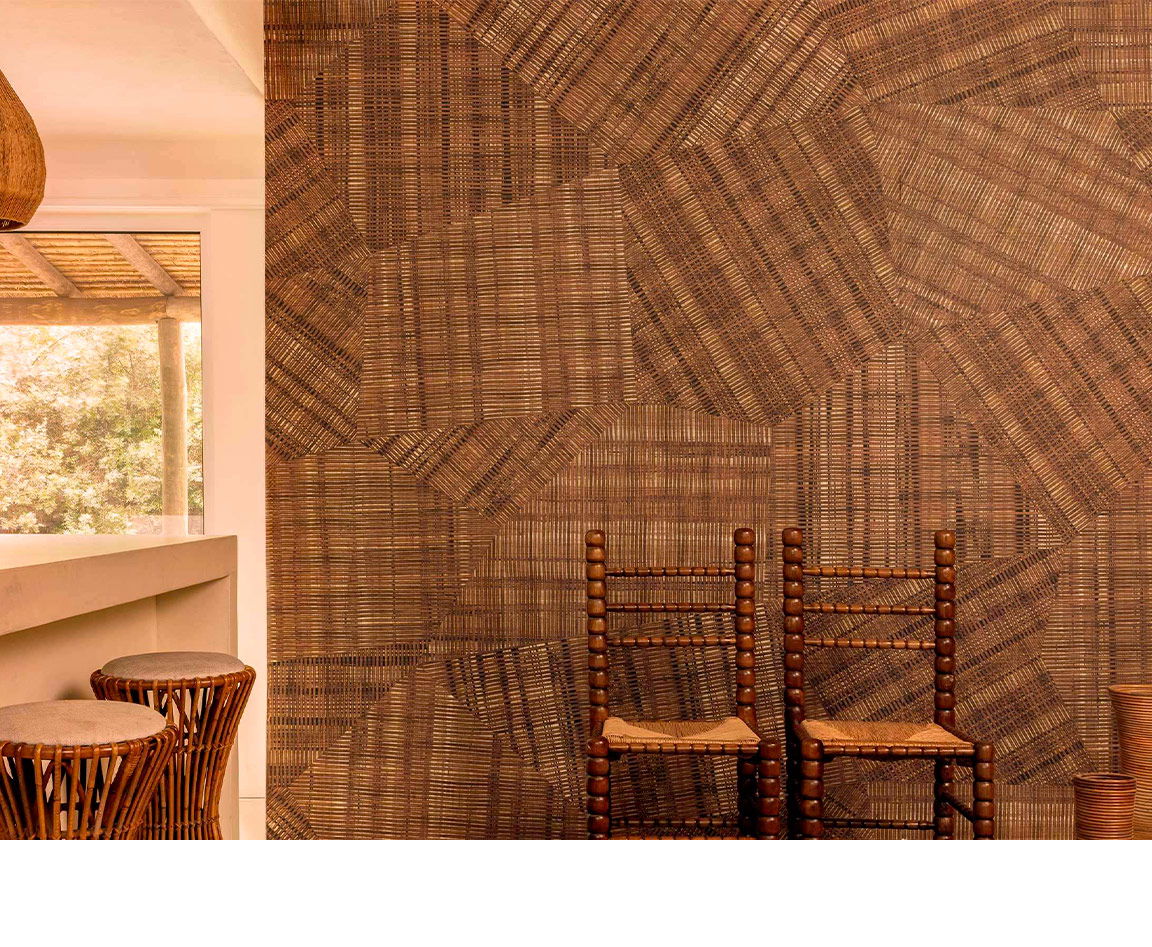 Collection Matières Végétales