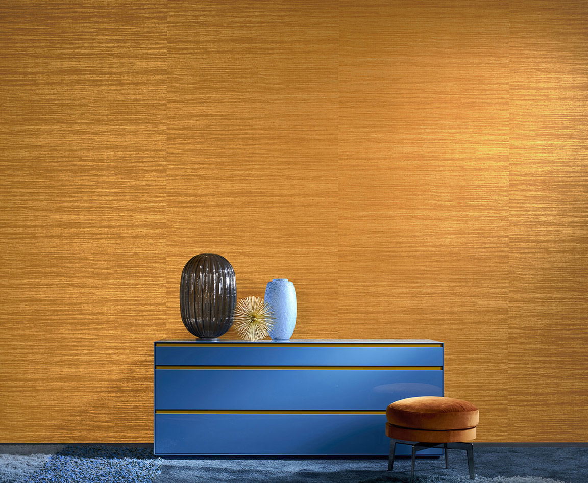 Collection Expedition