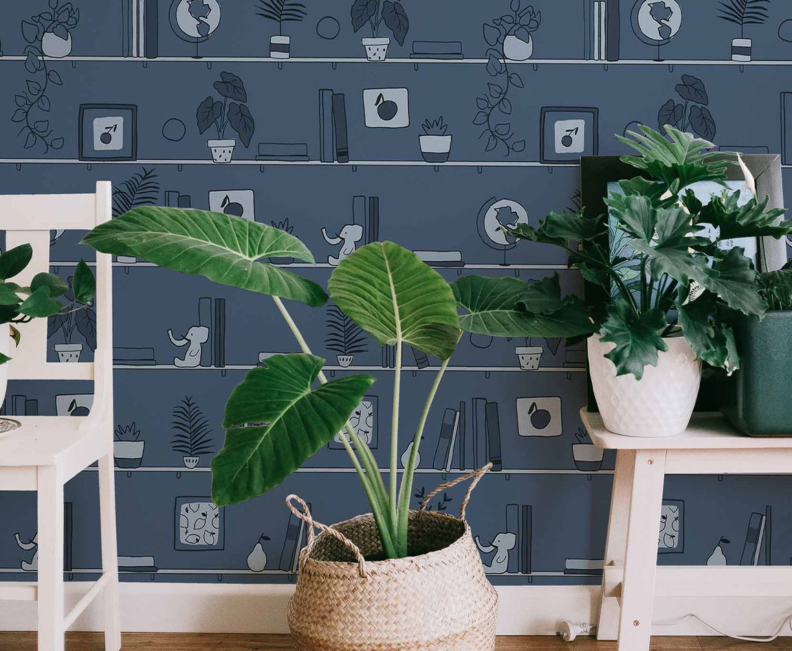 Collection Random Kids