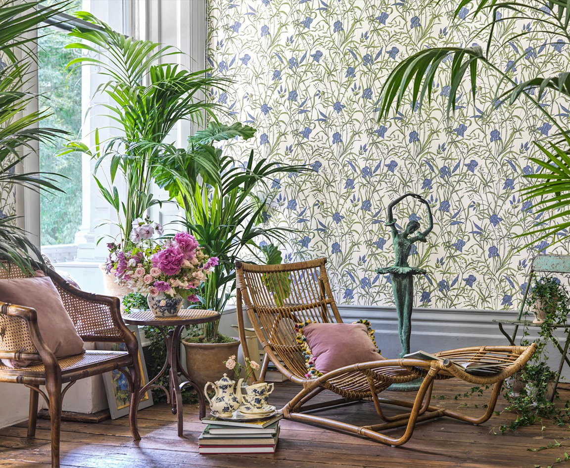 Collection Classics Vol II